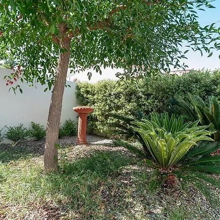 Eucalipti * Villanova di Ostuni